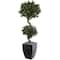 Nearly Natural; 4.5ft. Sweet Bay Double Topiary Tree in Black Planter; Category:Trees & Floor Plants; Image:2